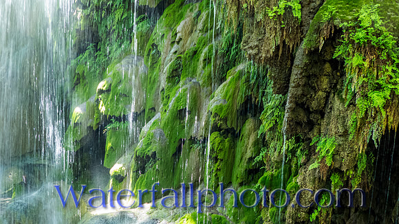 Gorman Falls,  ( look for the two faces)( use a little imagination )