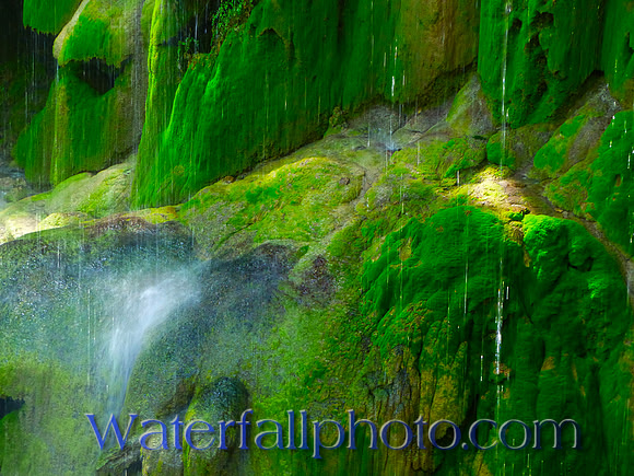 Gorman Falls
