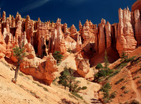 BRICE Canyon , UT.