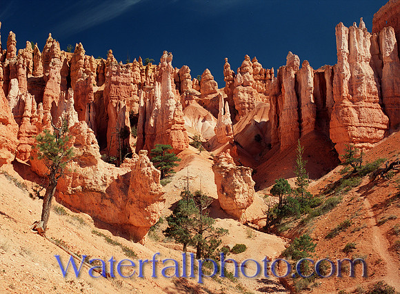 BRICE Canyon , UT.