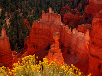 BRICE Canyon , UT.