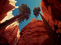 BRICE Canyon , UT.