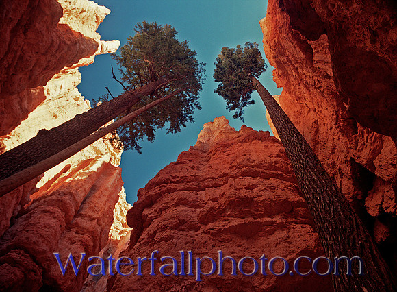 BRICE Canyon , UT.