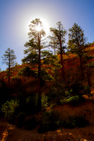 Sunset at Zion National Park