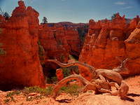 BRICE Canyon , UT.