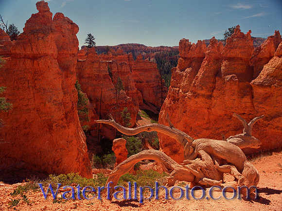 BRICE Canyon , UT.