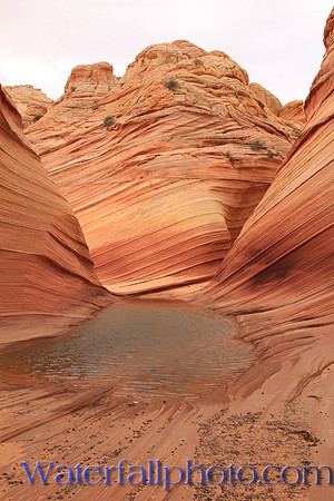 The Wave