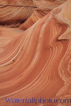 The Wave