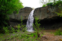 Williamsport Falls