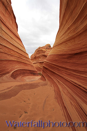 The Wave