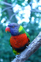 Nashville Zoo