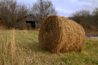 Hay, London KY
