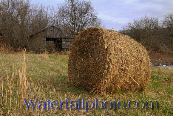 Hay, London KY