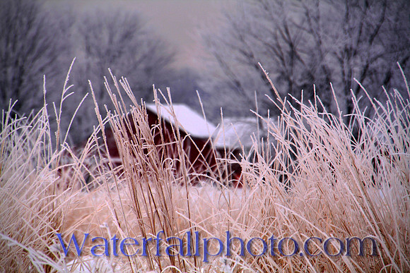 Kentucky Winter