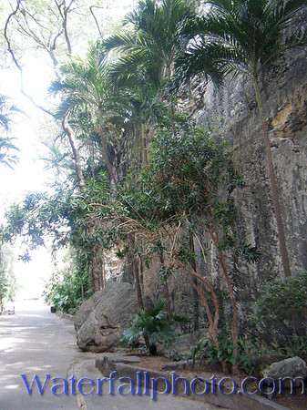 Bahamas