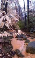 Little Mud Creek NC.