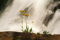 Little River Falls, Alabama