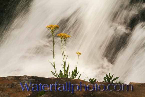Little River Falls, Alabama