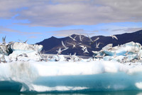 Ice Lagoon