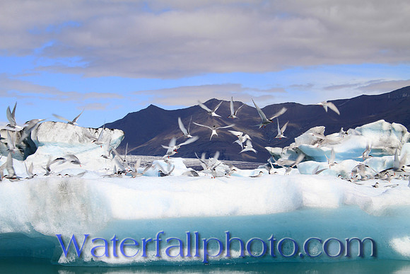 Ice Lagoon